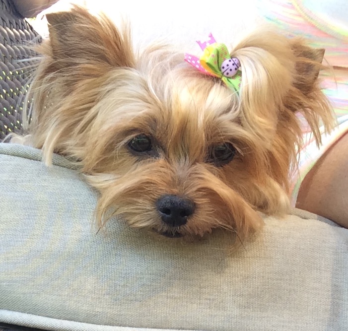 D30ECCDE-FCB9-49E1-9945-60D98B5A986D