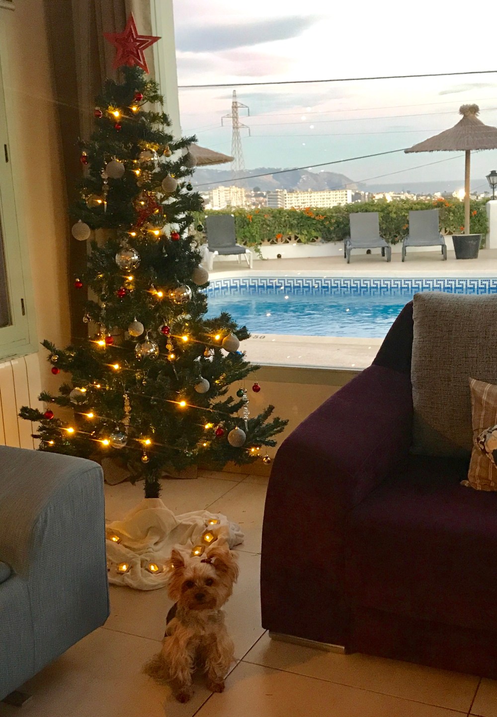 43EA7D0B-9251-4E1C-83E5-8172BA77109A