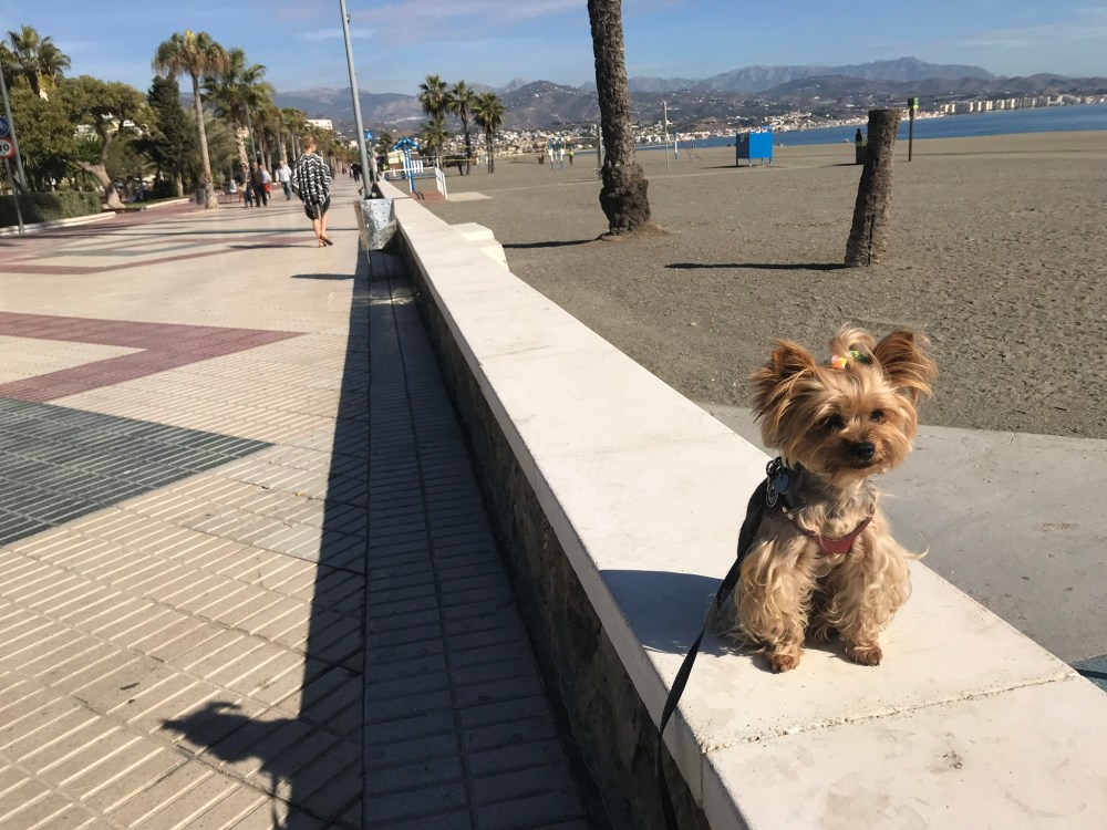 006BD19C-454C-4BD8-8B6A-9F238BEA3D5C